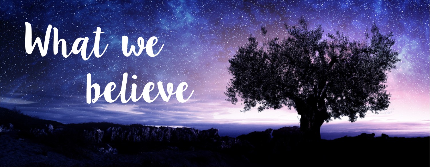 What we believe banner